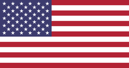 An image of the American flag.